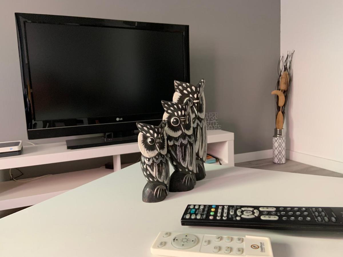 מלון לאס פאלמס דה גראן קנאריה Coliving El Toro מראה חיצוני תמונה